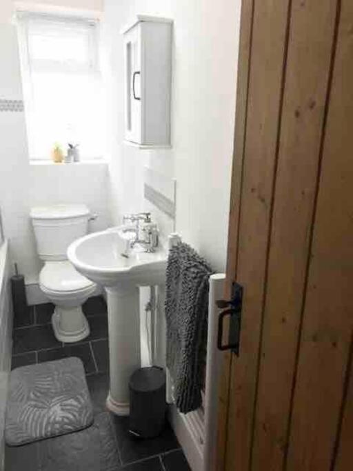 Woodland Cottage In Cornwall With Walled Garden هيلستون المظهر الخارجي الصورة